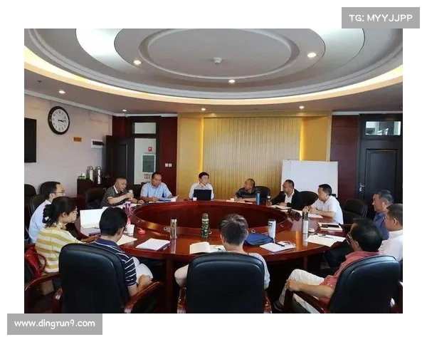 艾维娜挑战的应对策略与成功经验分享及实践心得