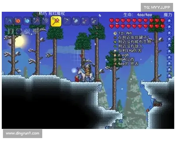 隐匿洞穴行动中的安全保障与高效执行策略分析