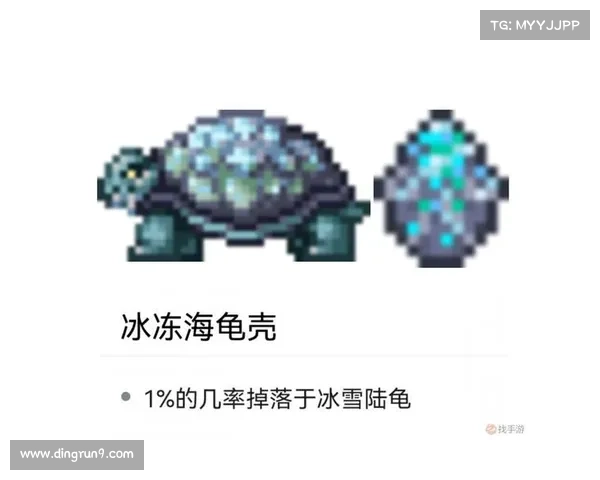 《全面解析辅助光辉装备使用技巧与搭配策略》