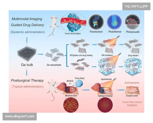 《光辉装备辅助功能全面解析与最佳使用策略》
