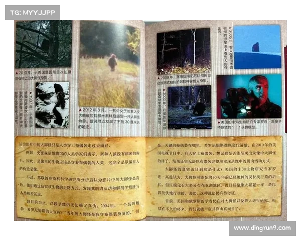 青坊主传说中的秘密与失落文明的神秘联系探秘