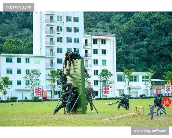七个关键步骤提升圣枪游侠游戏技巧助你成为战场高手