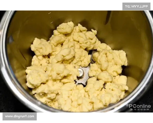 掌握摩尔庄园菜谱的烹饪秘籍让你成为厨房大师提升烹饪技能的必备宝典