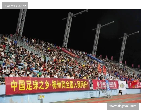 如何深入分析粤超联赛前四名球队的表现与竞争态势